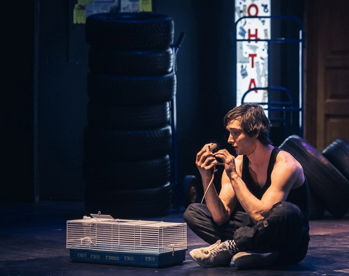 Змея золотая