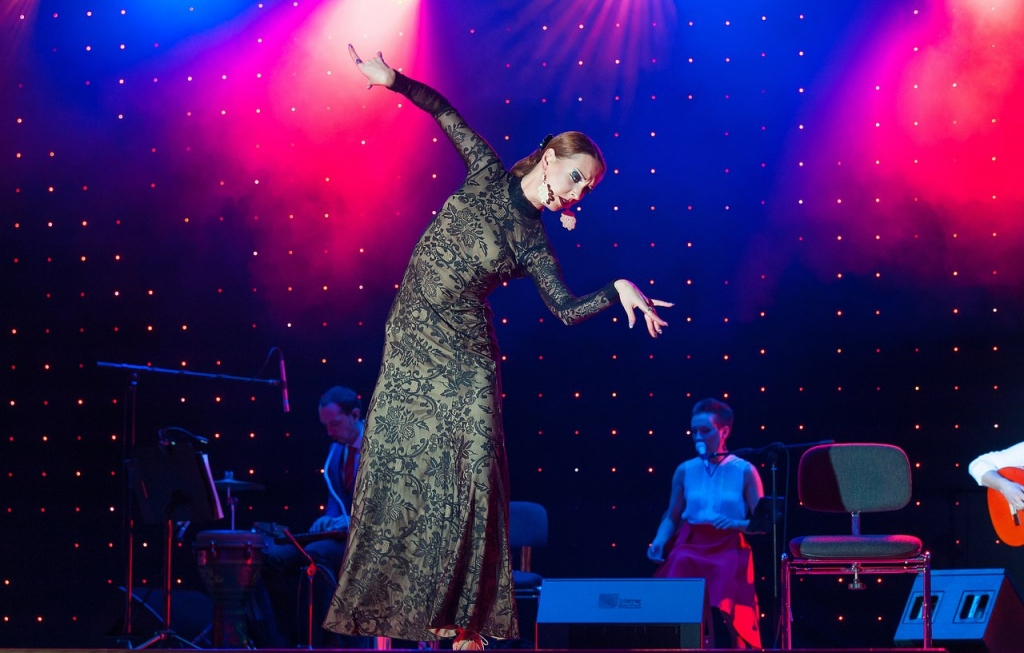 Adrian Sanchez, Юлия Плахотина "Viva Flamenсo"