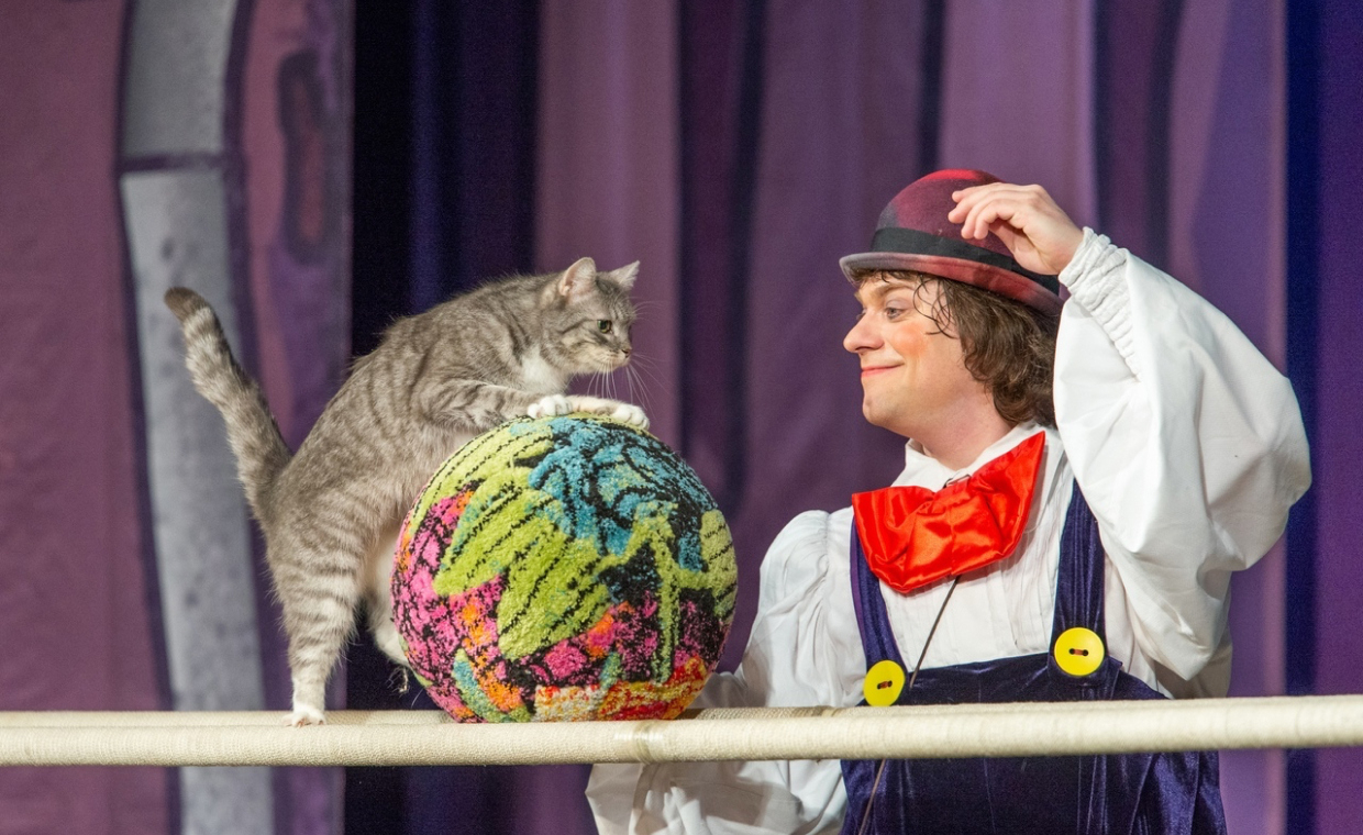 Волшебные кошки Куклачева