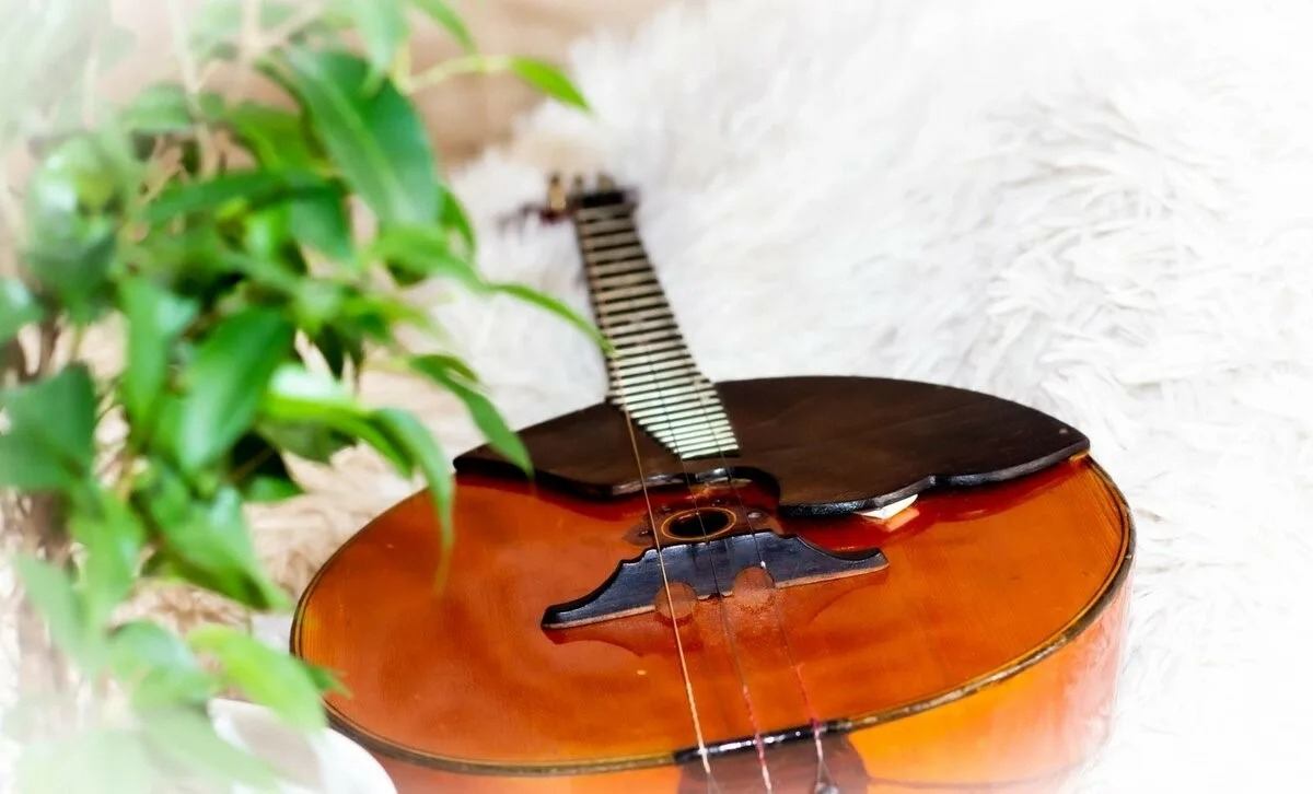 Семейный выходной. Концерт "Привет, домра"