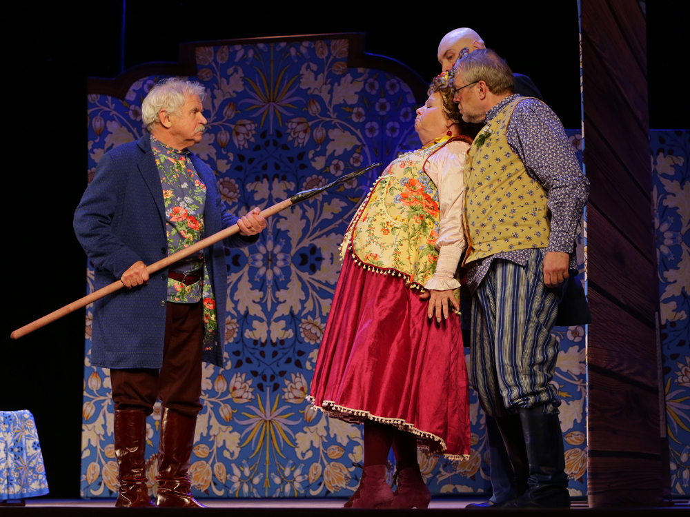 Комедия "Не в свои сани не садись" Ирина Муравьёва, Сергей Никоненко и др.