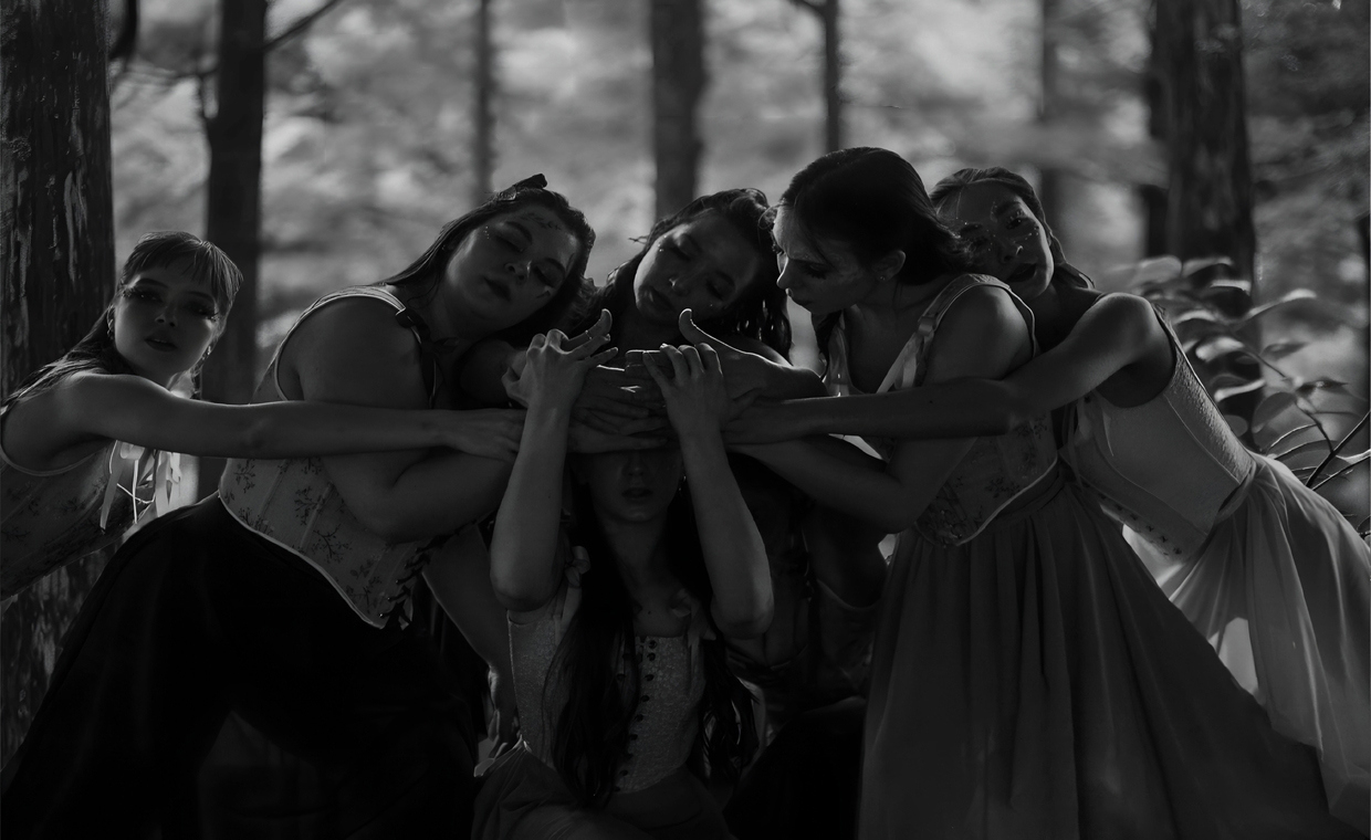 "За завесой леса"