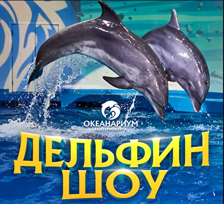 Дельфин шоу
