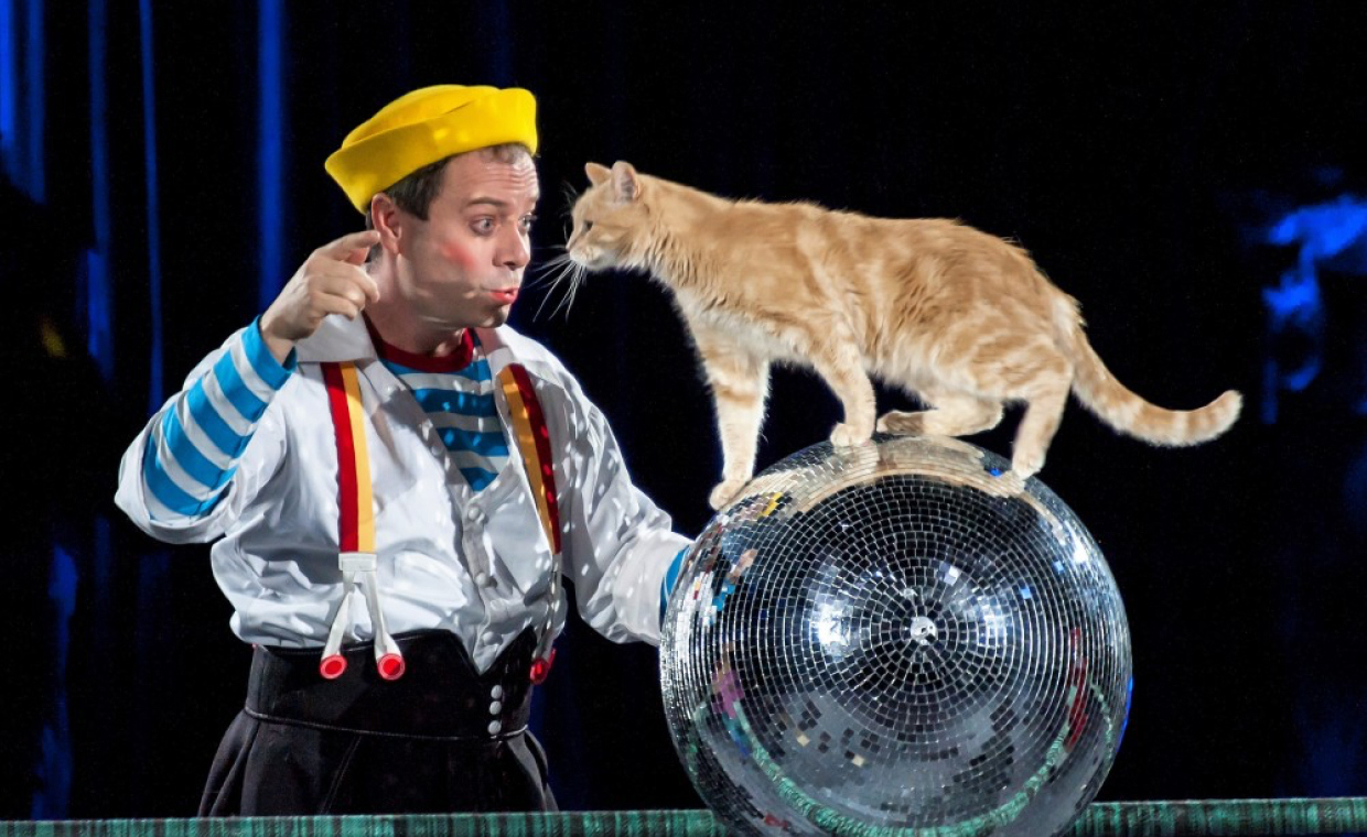 Волшебные кошки Куклачева