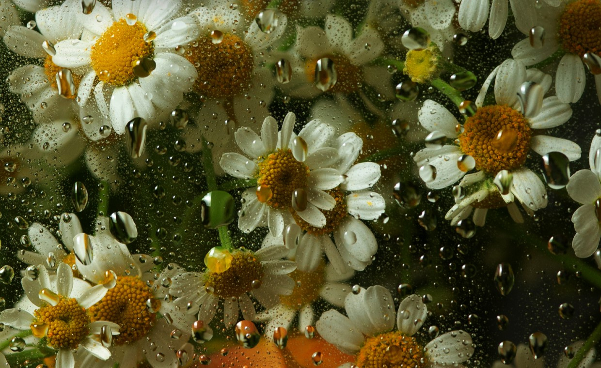 «Рихтер & Эйнауди: оркестровые эскизы» - Оркестр "Модерн"