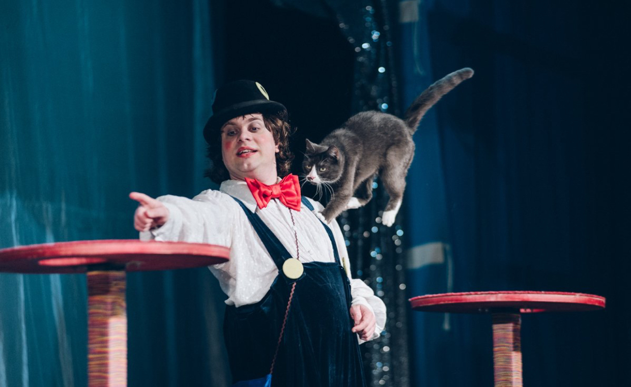 Волшебные кошки Куклачева