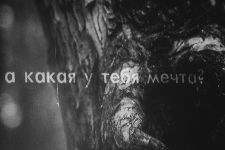 Наташина мечта