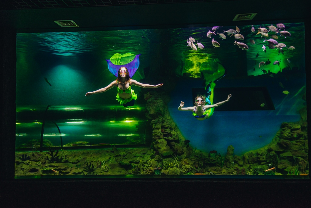 Экспозиция «Подводный мир»