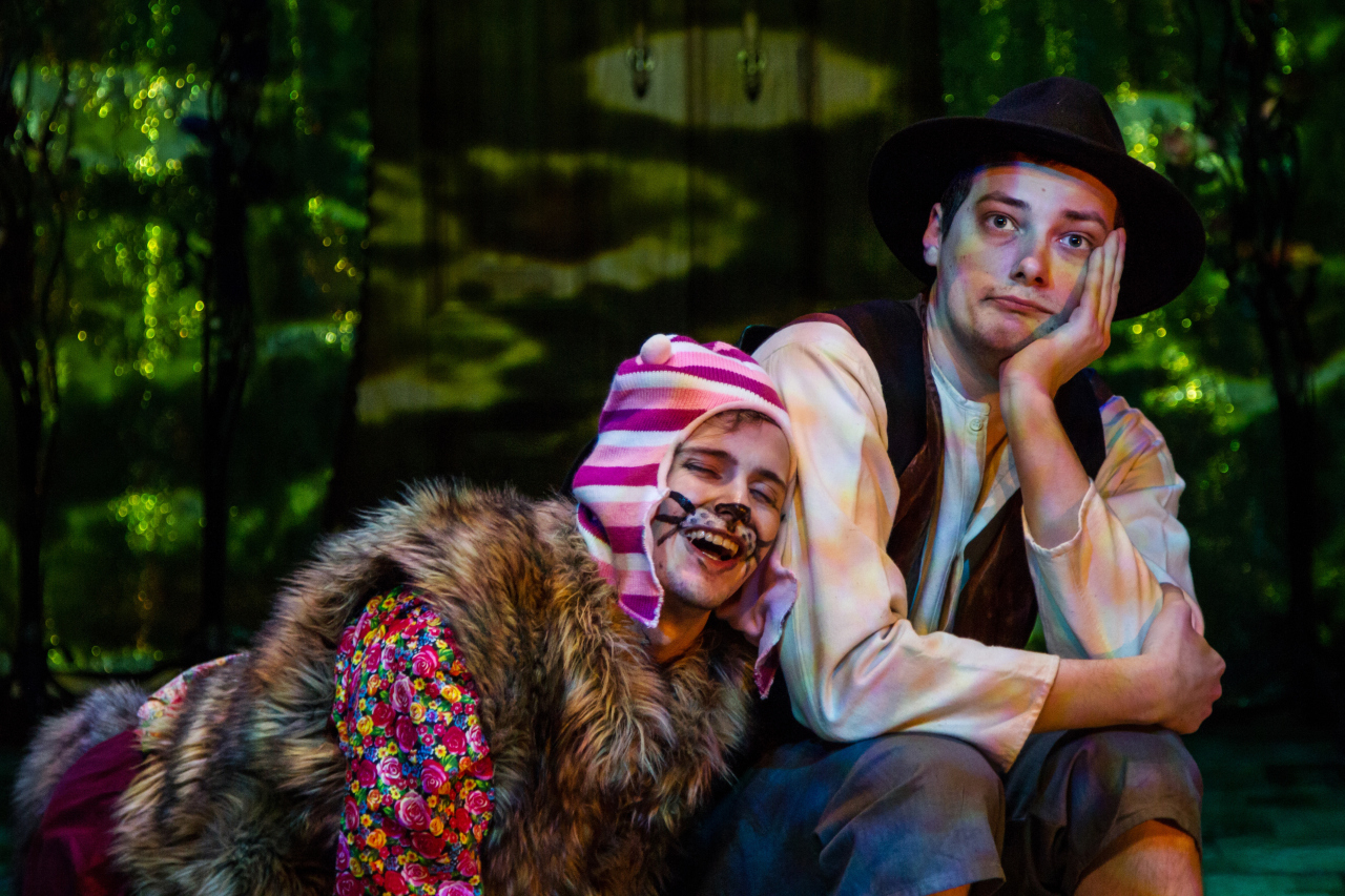 Кот в сапогах