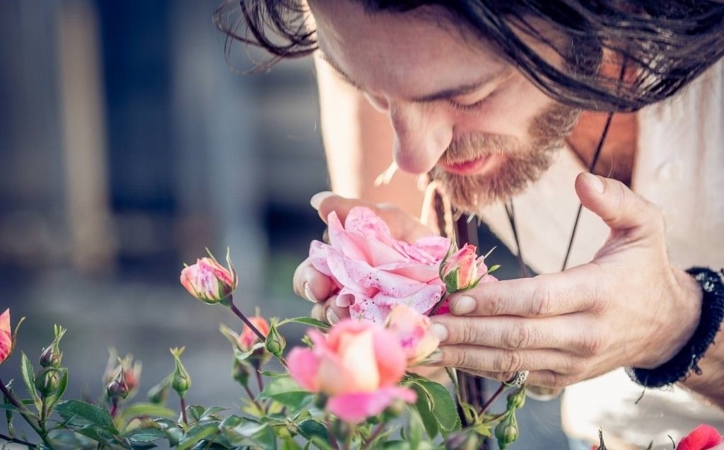 Эстас Тонне (ESTAS TONNE)