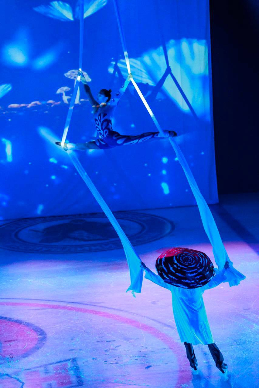 Алиса в стране чудес