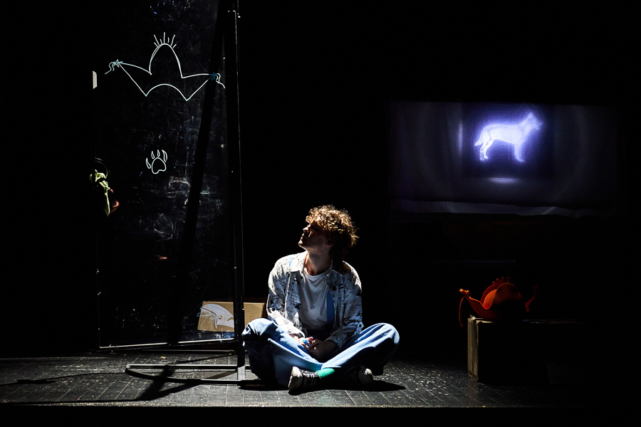 Мой Мюнхгаузен