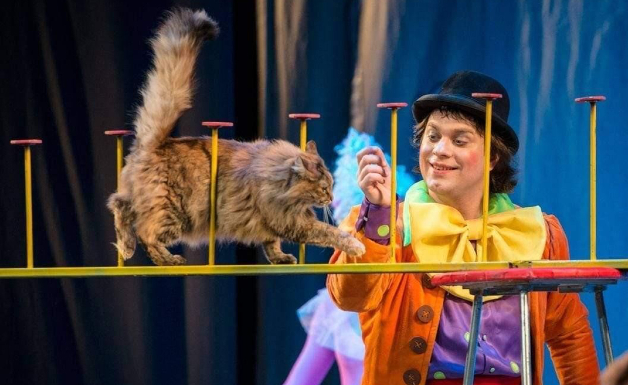 Волшебные кошки Куклачева