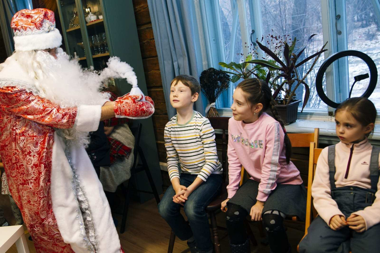 Новогодний переполох в стране Волшебных эльфов