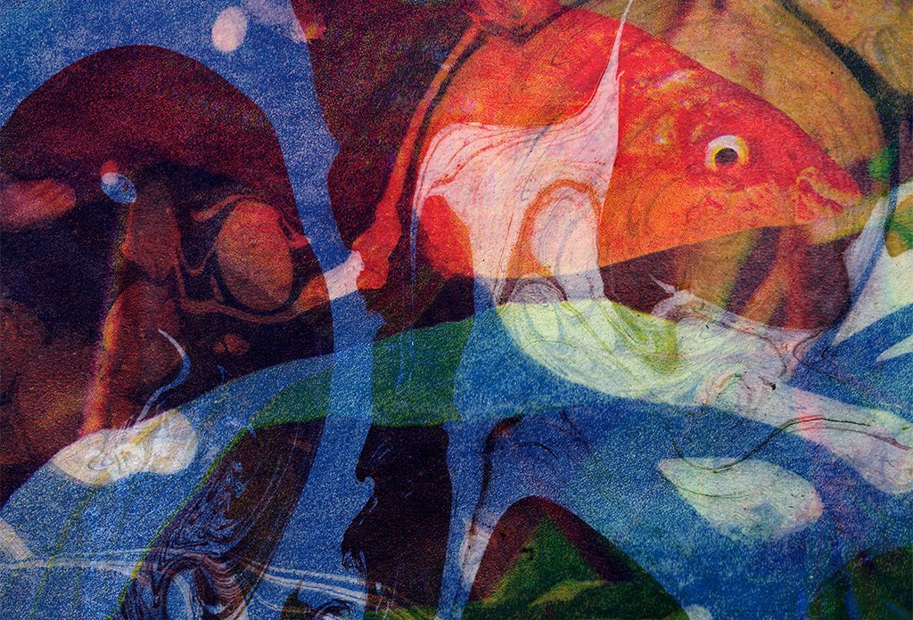 Порез на собаке