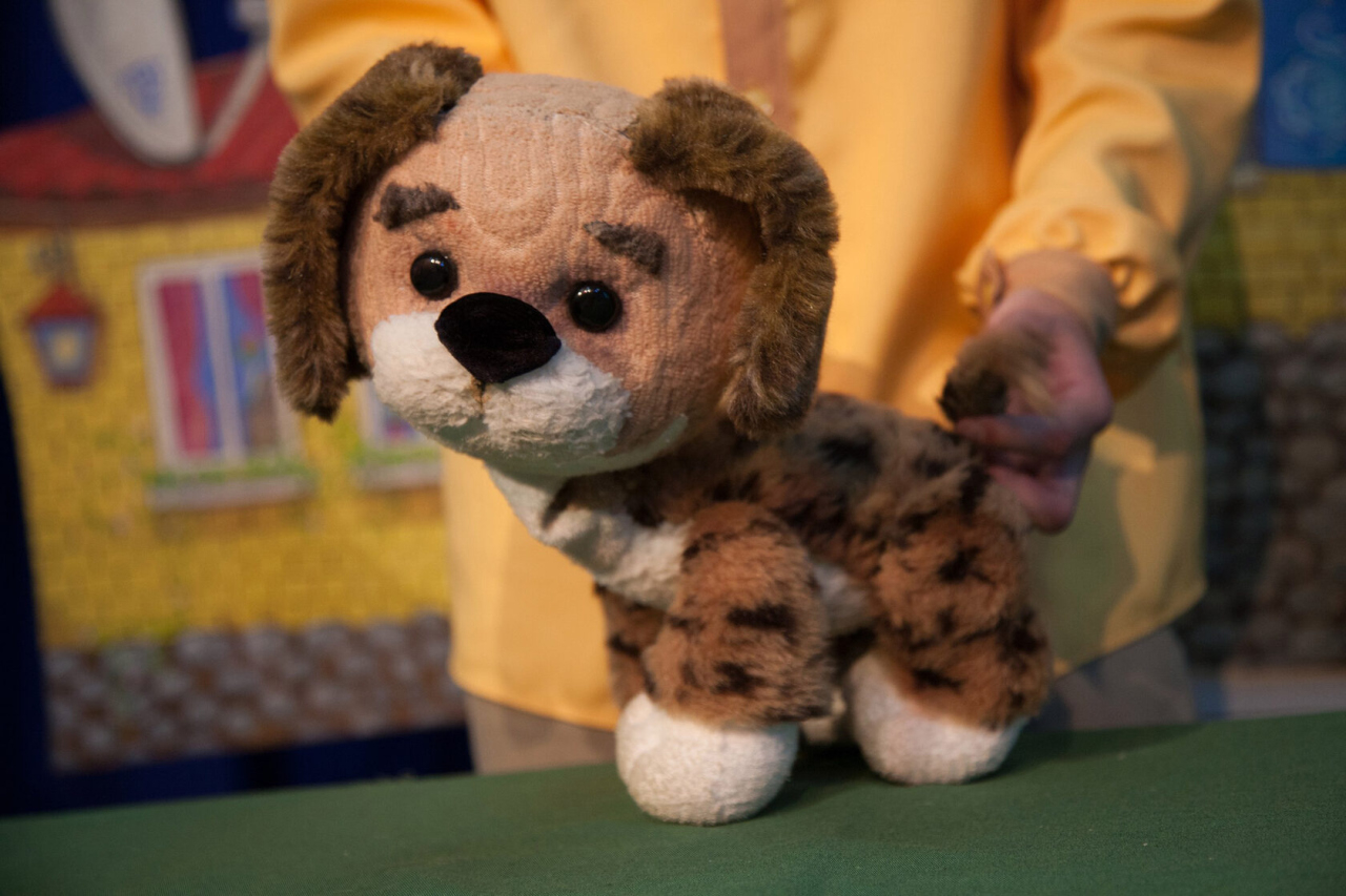 Котёнок Гав