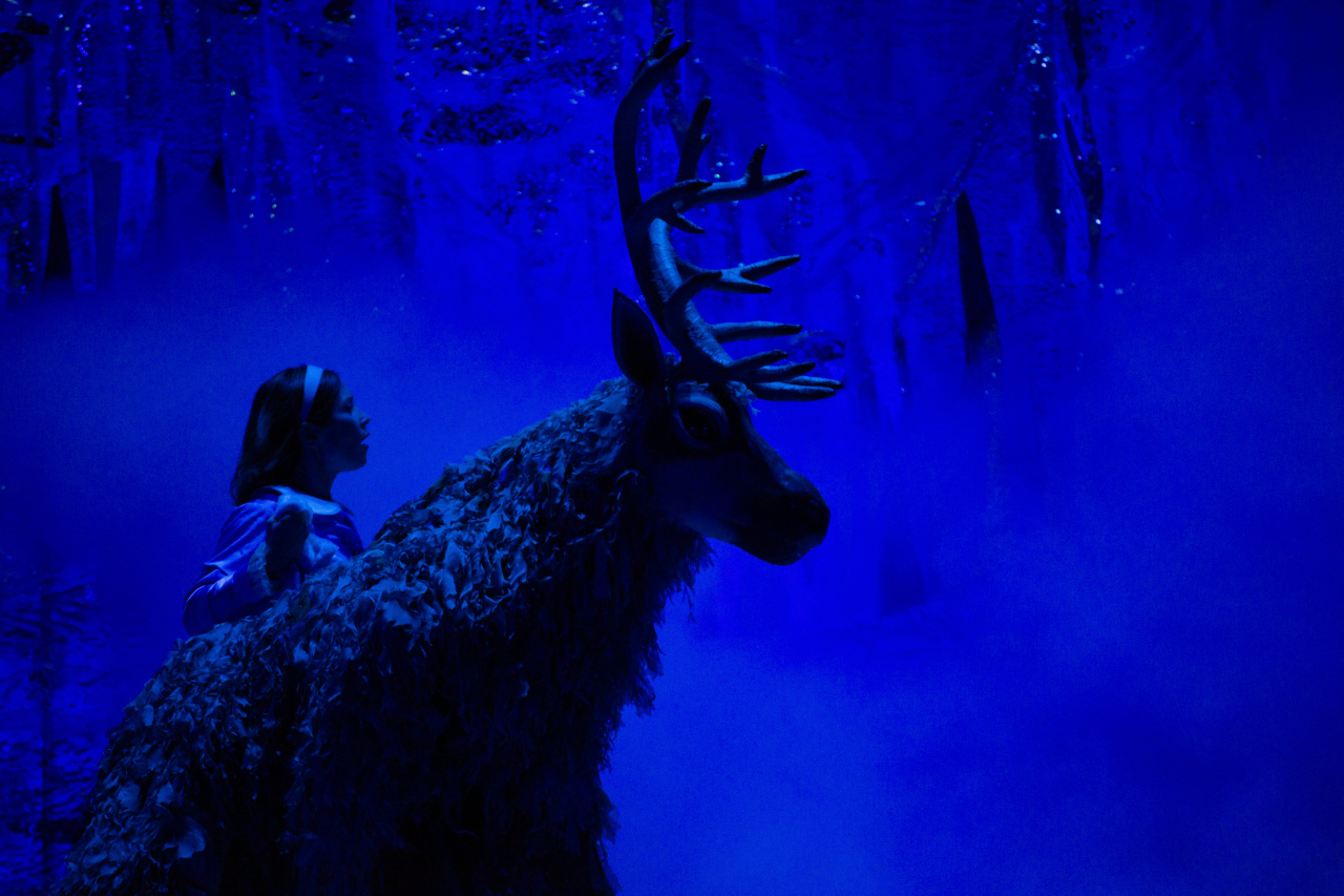 Московская премьера Новогодней сказки «Снежная Королева» от режиссёра Московского театра Н. Сац В. Меркулова