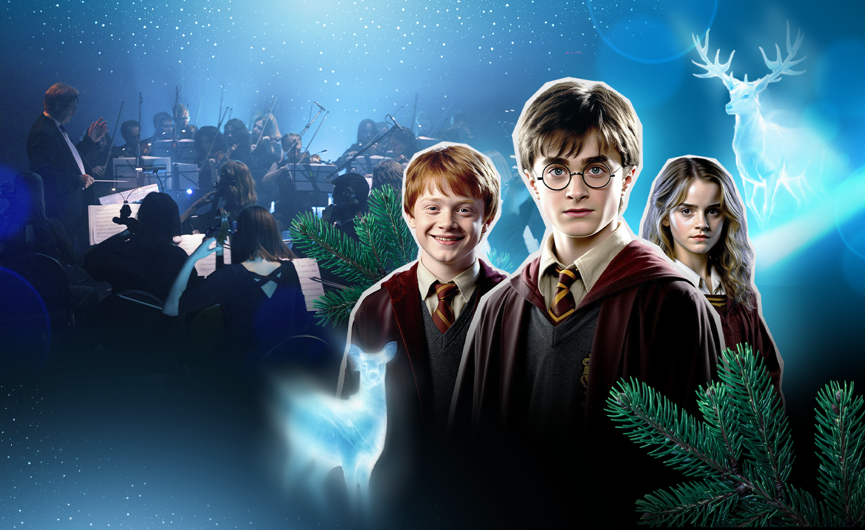 Гарри Поттер-новогодняя симфоническая сюита