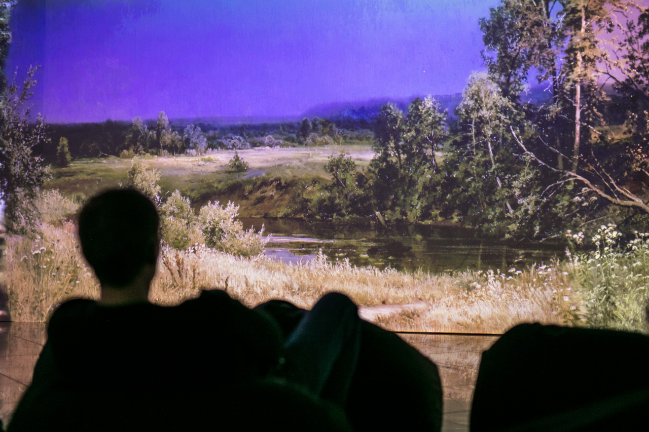 Мультимедийная выставка "Шишкин. Одинокие леса"