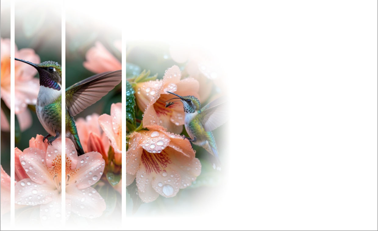 Мы желаем счастья вам...