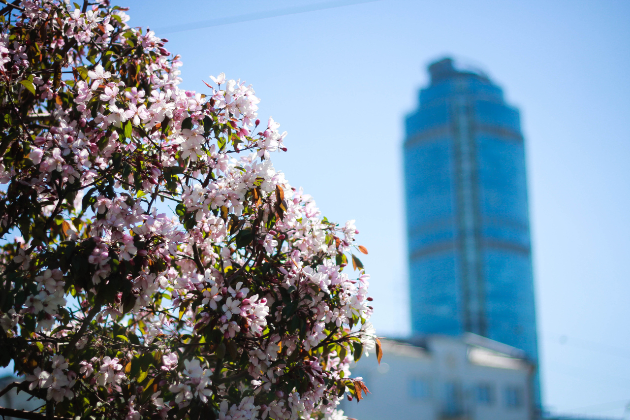 Знакомьтесь - Екатеринбург!