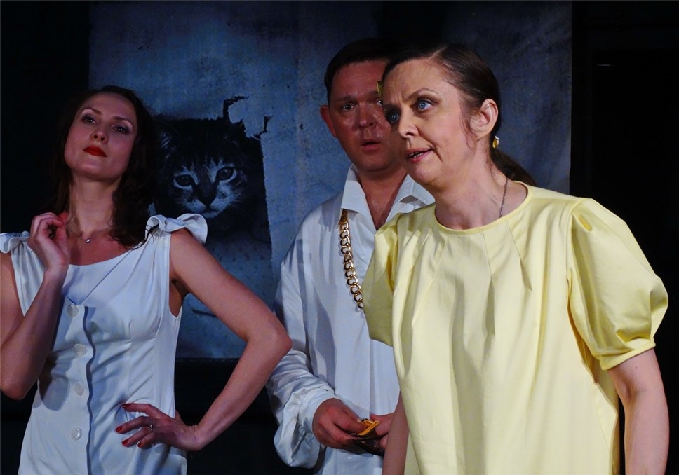 Театр "Большая медведица"(г. Москва) "Баба Шанель"