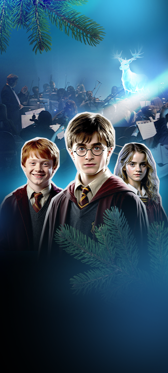 Гарри Поттер-новогодняя симфоническая сюита
