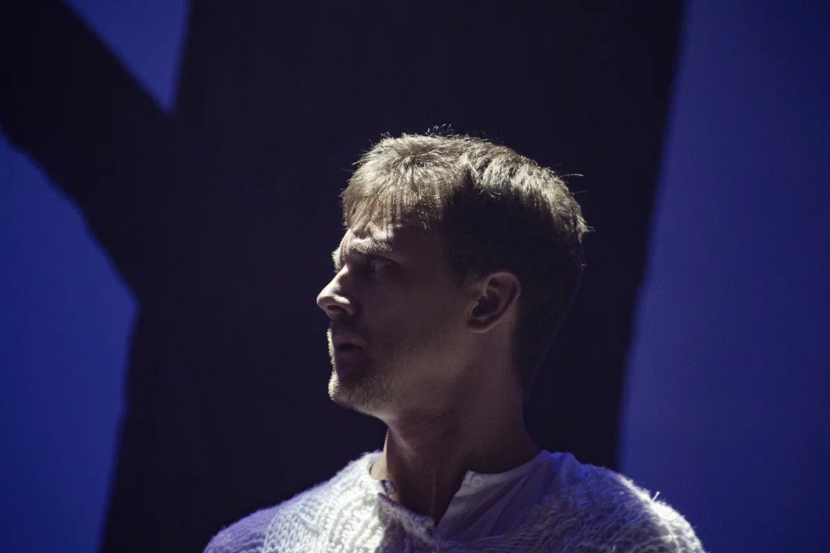 Ермаковы лебеди