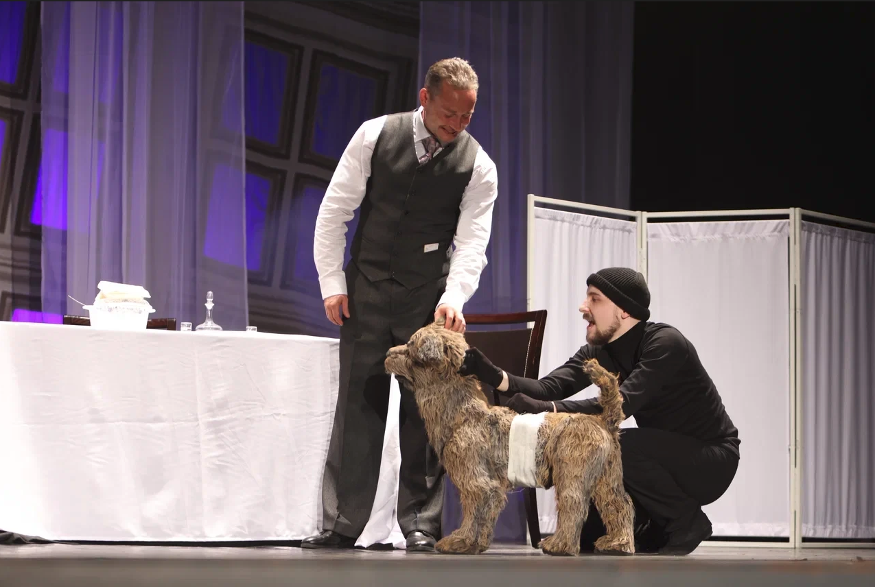 Собачье сердце г. Екатеринбург