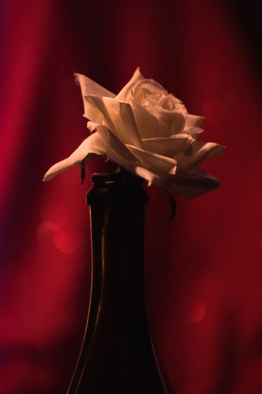 Черничный вкус порока - мастерская сатиры