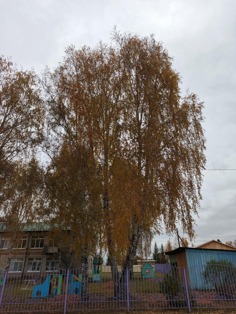 Фольклорная программа «Осенины» — погружение в мир славянских традиций