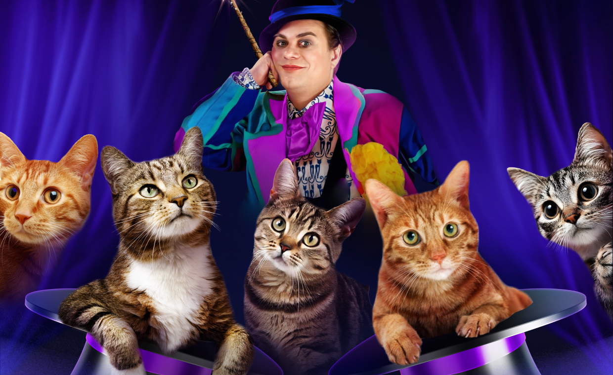 Волшебные кошки Куклачева