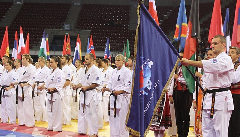 ЧЕМПИОНАТ МИРА ПО КИОКУСИНКАЙ КАРАТЭ Отборочные поединки. Утренняя программа